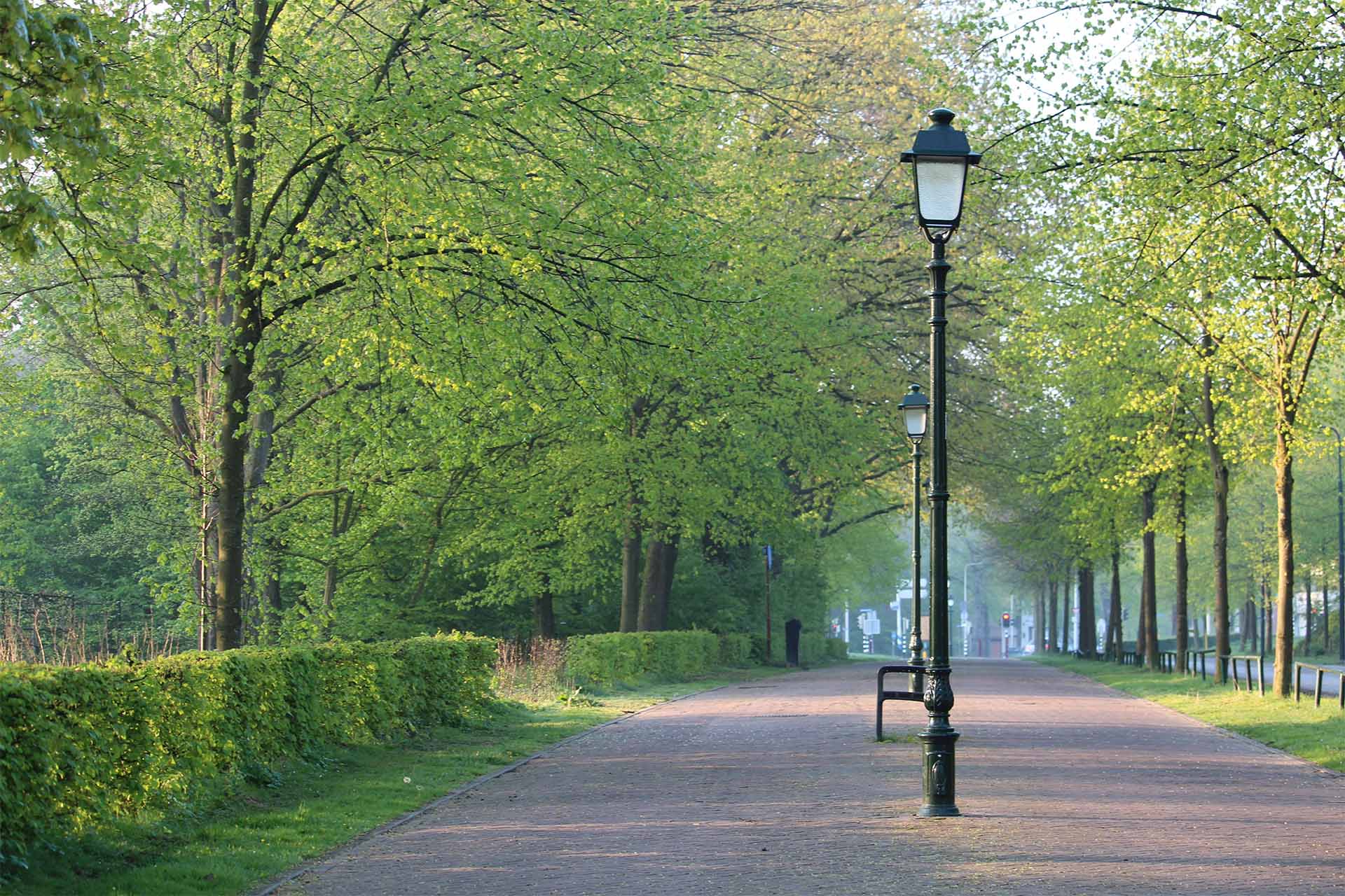 Illuminazione pubblica - TAO